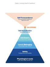 Load image into Gallery viewer, THE FINAL PROPHET PROOF OF THE PROPHETHOOD OF MUHAMMAD overbookedatm