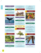 Load image into Gallery viewer, THE CLEAR QURAN® Series Dictionary