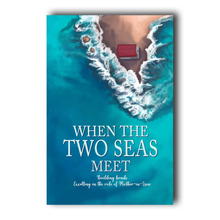 Load image into Gallery viewer, When the two seas meet overbookedatm